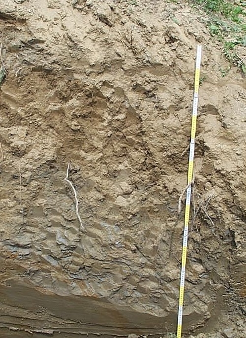 Profilo geologico del terreno 5