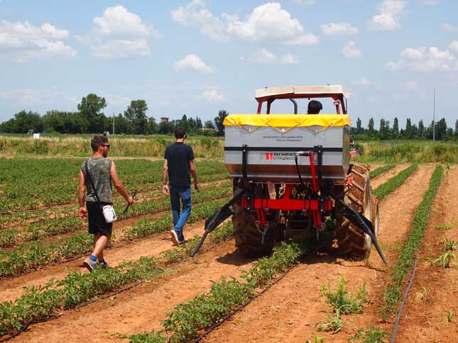 Fertilizzazione a rateo variabile pomodoro e mais