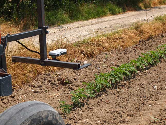 Fertilizzazione a rateo variabile pomodoro e mais